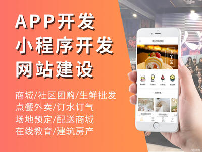 app定制 小程序研发 软件开发 互联网营销 商城系统-app 网站建设 系统开发